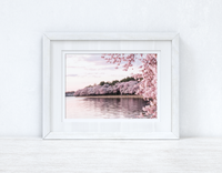 Cherry Spring Blossom Lake Photography Spring Seasonal Wall Home Decor Print