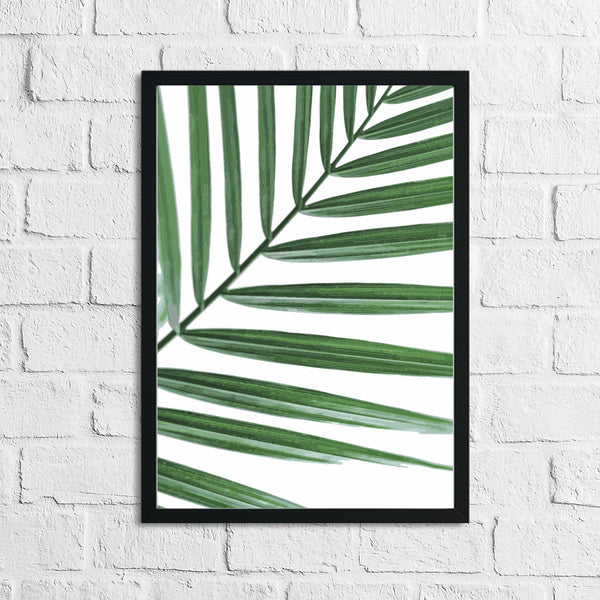 Palm Leaf Botanical Watercolour Room Simple Wall Decor Print