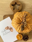 Hello Autumn Acorn Autumn Seasonal Wall Home Decor Print