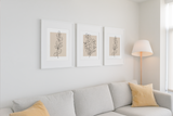 Neutral Botanical Eucalyptus Line Art Set Of 3 Or Single Home Wall Decor Prints - Neutral Wall Art - Prints - Line Art - Beige Decor